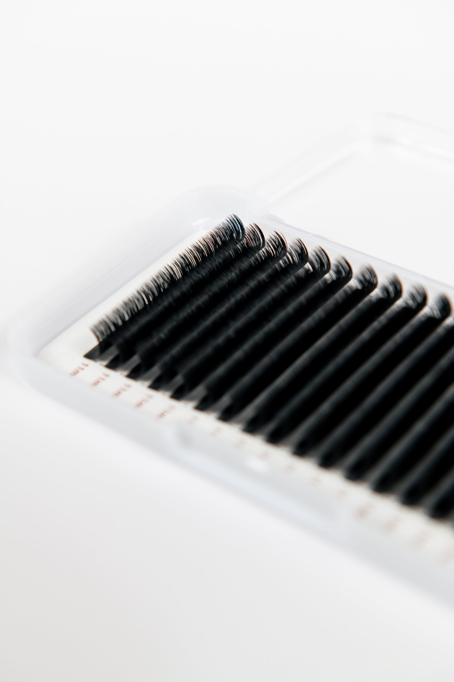 Easy-Fan Blooming lash trays (16 rows)